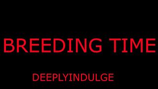 BREEDING TIME FOR YOUR PUSSY DADDY GETS YOU PREGGO (AUDIO ROLEPLAY) BREEDING BULL