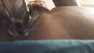 CREAMY PHAT EBONY BBW 